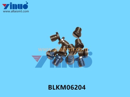 BLKM06204 Universal AI PLUG SCREW