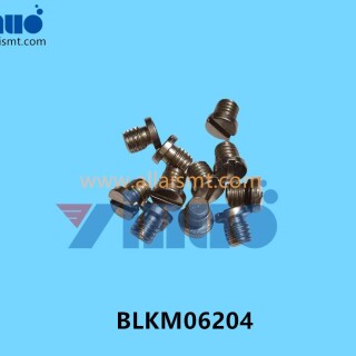 BLKM06204-Universal-AI-PLUG-SCREW