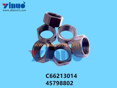 C66213014 45798802 Universal AI NUT (1)