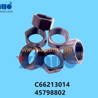 C66213014-45798802-Universal-AI-NUT-1