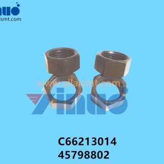 C66213014-45798802-Universal-AI-NUT-3