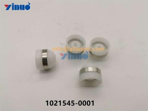 CAP 1021545 0001 (1)