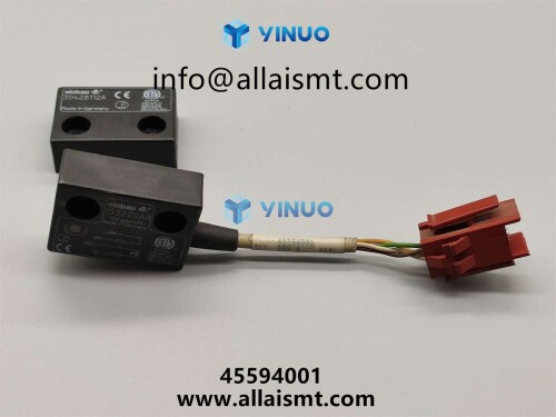 INTERLOCK SW ASSY 45594001 (5)