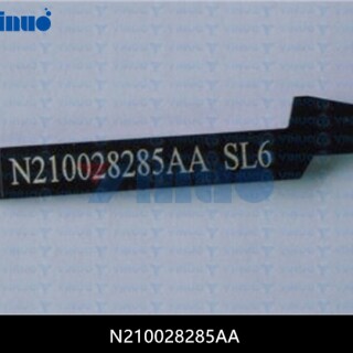 N210028285AA