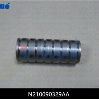 N210090329AA
