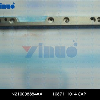 N210098884AA-1087111014-CAP