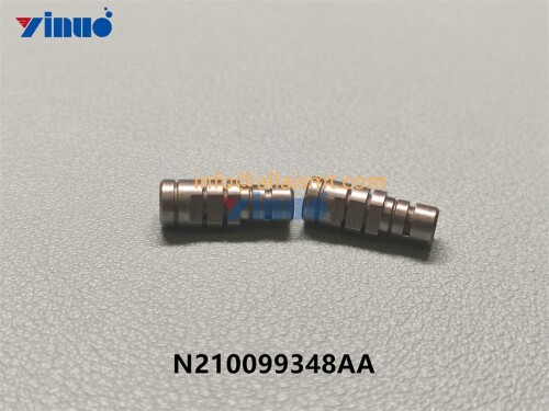 N210099348AA PIN (1)