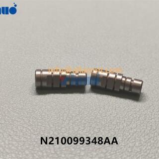 N210099348AA-PIN-1