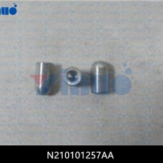 N210101257AA