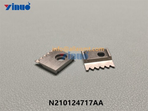 N210124717AA GUIDE (2)