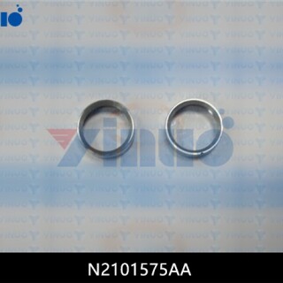 N2101575AA