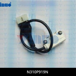 N310P919N