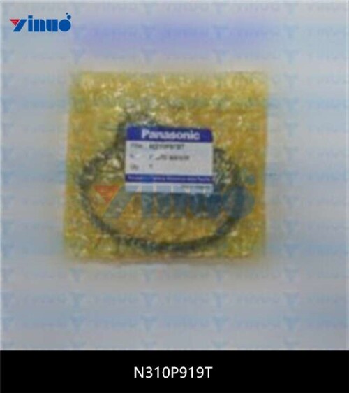 N310P919T