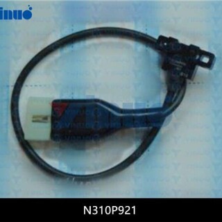N310P921