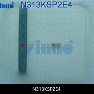 N313KSP2E4