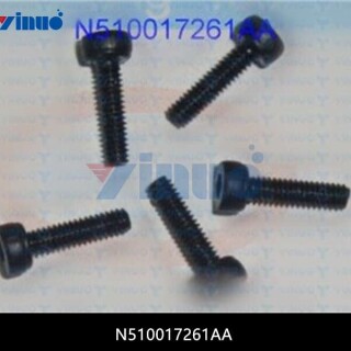 N510017261AA