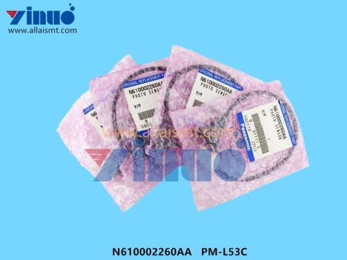 N610002260AA-PM-L53C-Sensor-2.jpg