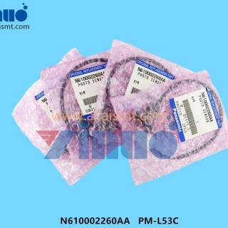 N610002260AA-PM-L53C-Sensor-2