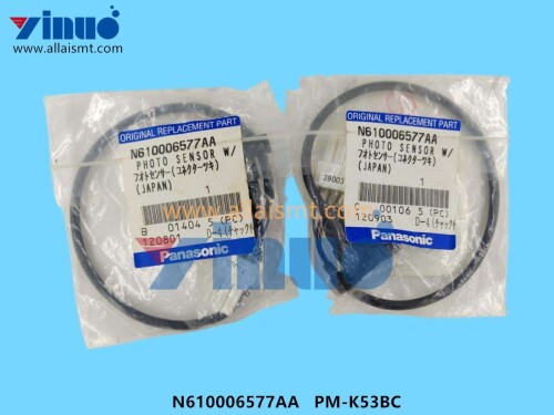 N610006577AA-PM-K53BC-Sensor-2.jpg