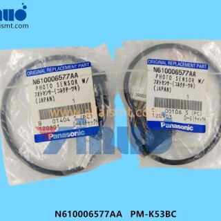 N610006577AA-PM-K53BC-Sensor-2
