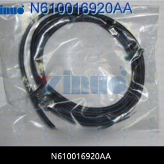 N610016920AA