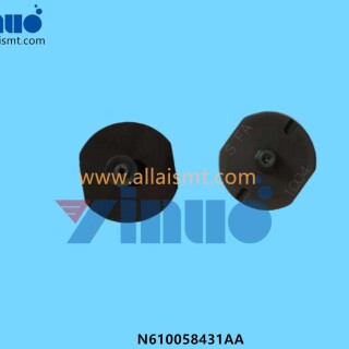 N610058431AA-Nozzle-161S