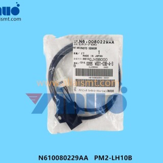 N610080229AA-PM2-LH10B-Sensor-1