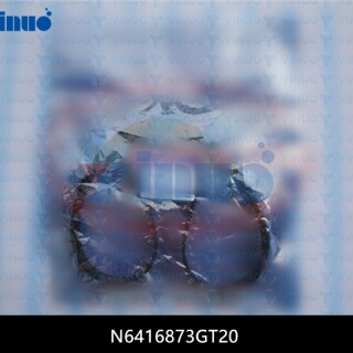 N6416873GT20