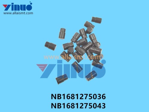 NB1681275036 NB1681275043 (2)