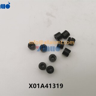 NUT-X01A41319-3e38734d421b355d5