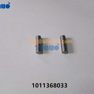 PIN-1011368033-10ee216ee0b98cd8f