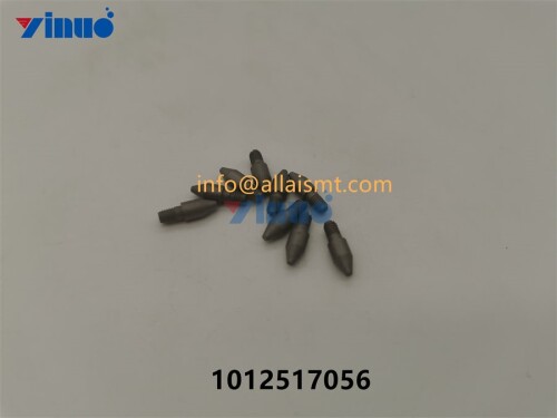 PIN 1012517056 (1)