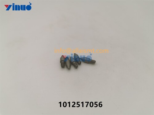 PIN 1012517056 (2)