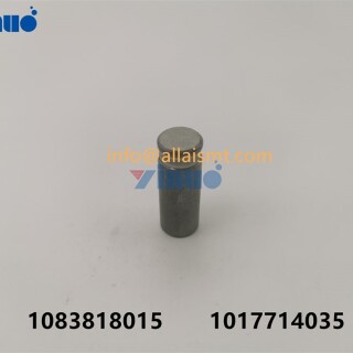 PIN-1083818015-1017714035-1