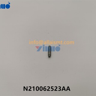 PIN-N210062523AA-2