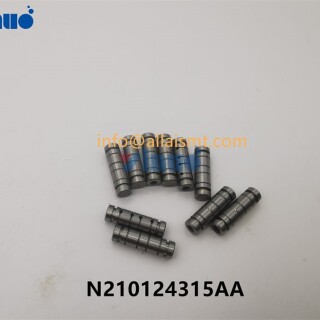 PIN-N210124315AA-232a661866a70c144