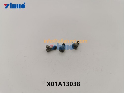 PIN X01A13038 (2)