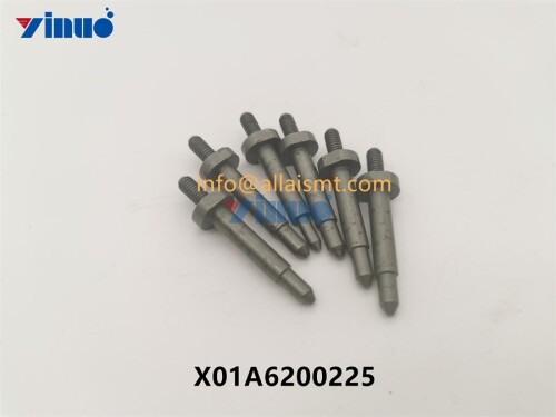 PIN X01A6200225 (2)