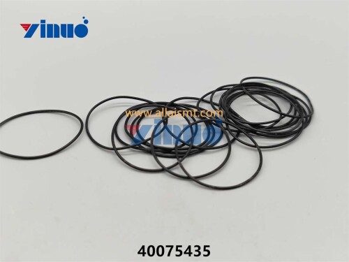 PN 40075435 O RING (1)