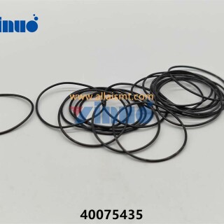 PN-40075435-O-RING-1