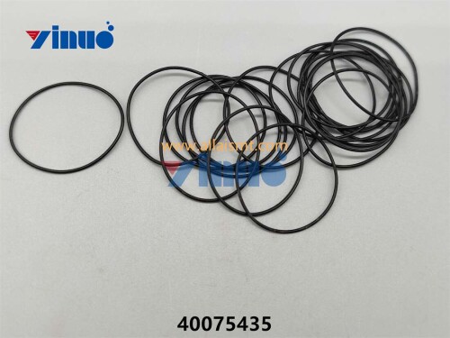 PN 40075435 O RING (2)