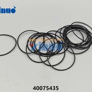 PN-40075435-O-RING-3