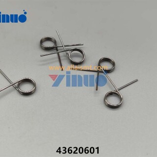 PN-43620601-SPRING-1