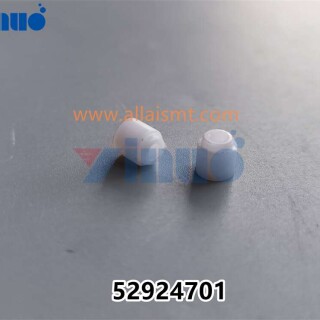 PN-52924701-bearing-holder-spring-2