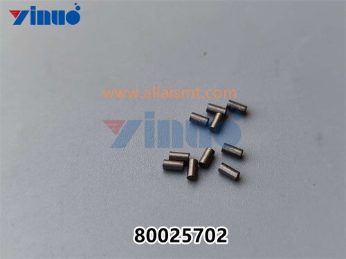 PN 80025702 PIN (1)