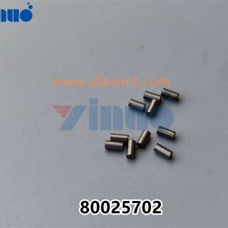 PN-80025702-PIN-1