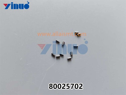 PN 80025702 PIN (2)