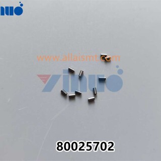 PN-80025702-PIN-2