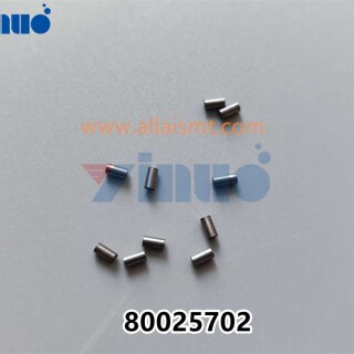 PN-80025702-PIN-4