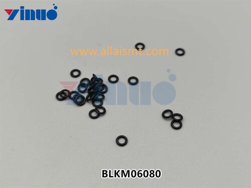PN BLKM06080 O RING (1)